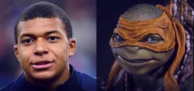 阵容调整到位 谁能首战告捷